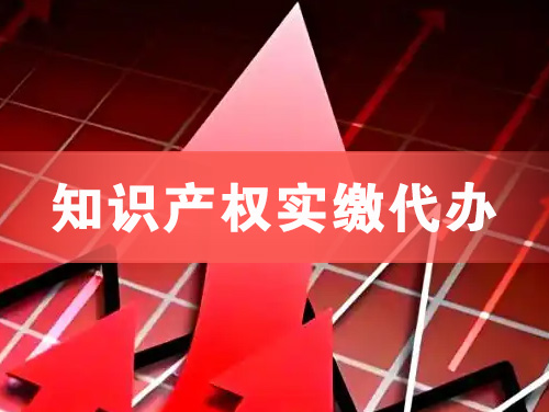 衢州知识产权实缴资本代办